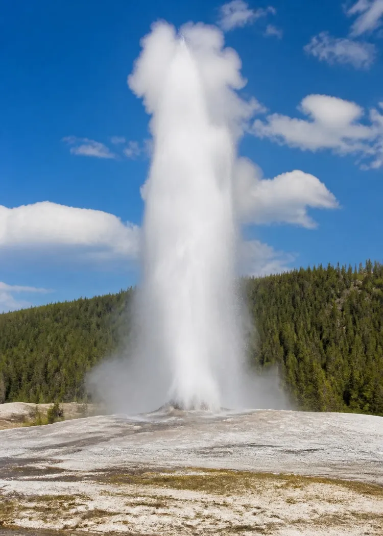 Yellowstone geyser
